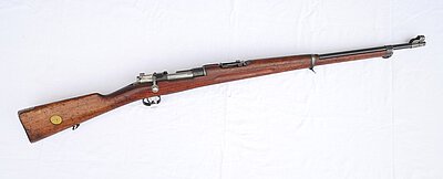 Carl Gustafs, Schwedenmauser, M96, Kal. 6,5x55 SE - 1899